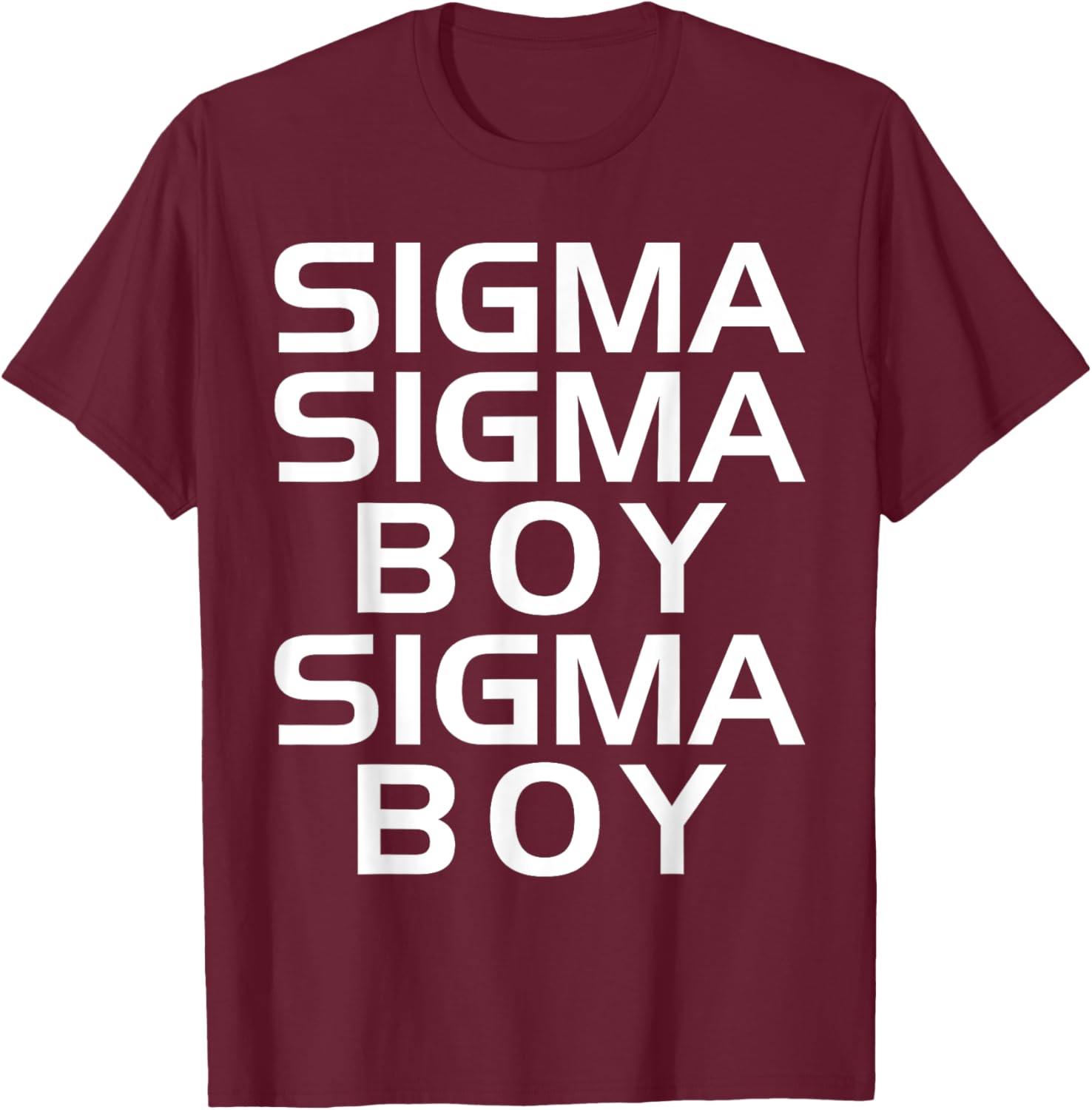 Sigma Boy T-Shirt - Motivational Sigma Male Trendy Design Apparel - 15