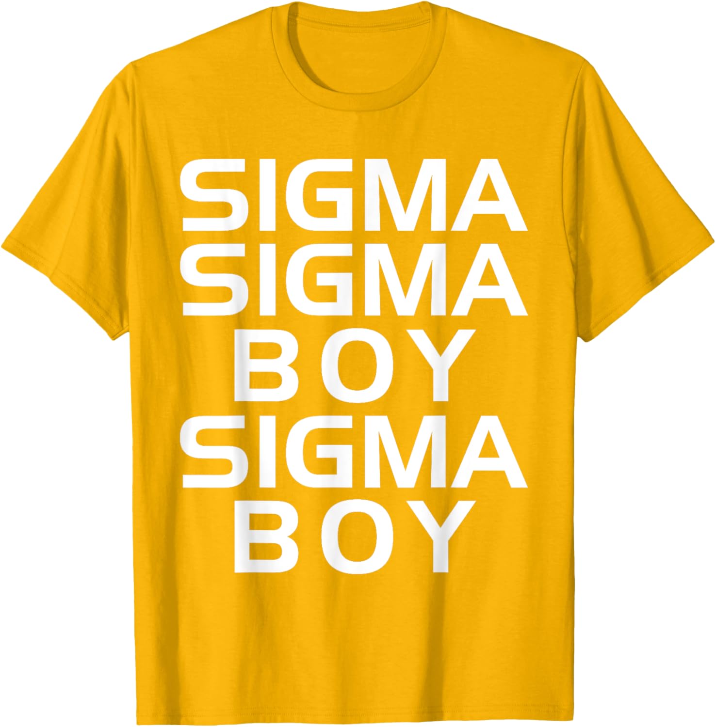 Sigma Boy T-Shirt - Motivational Sigma Male Trendy Design Apparel - 7