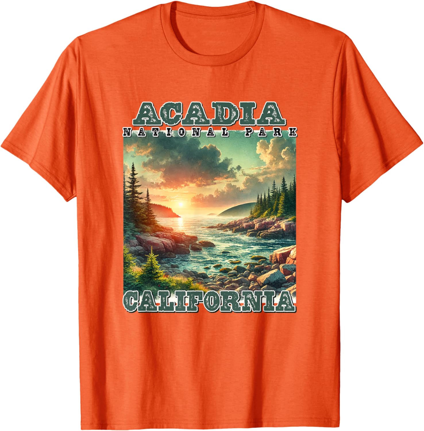 Vintage Retro Acadia National Park Camping T-Shirt for Outdoor Lovers - 1