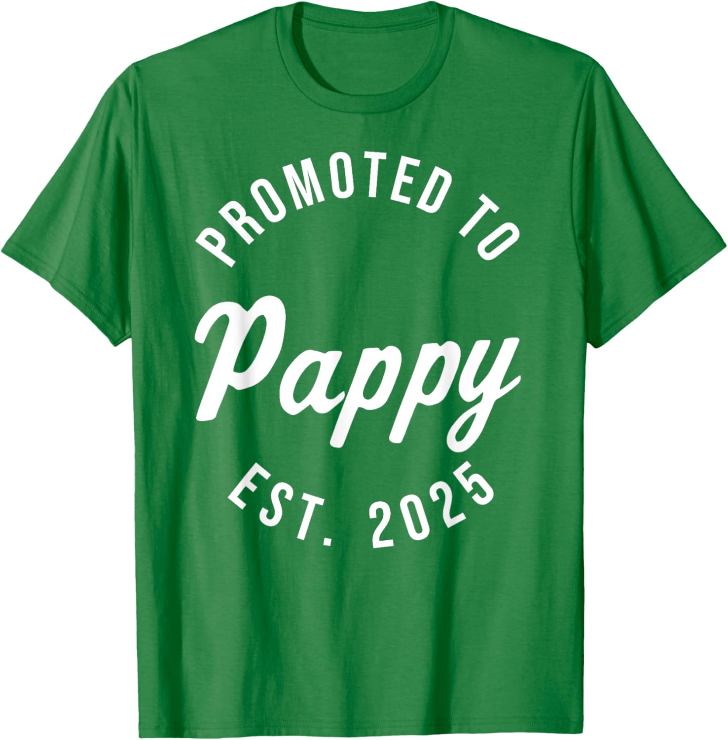 Promoted to Pappy Est 2025 First Father's Day T-Shirt Gift for Dad - 16