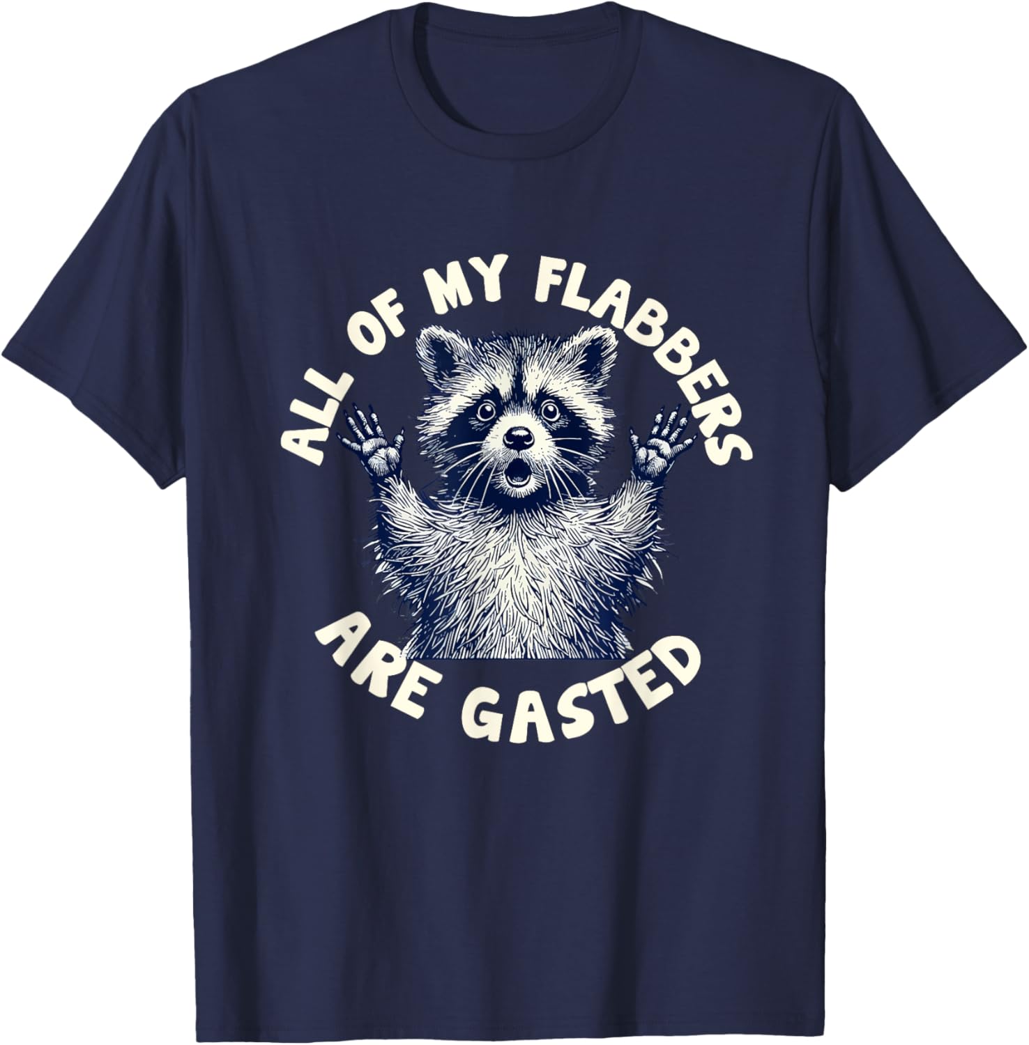 Funny Raccoon Meme T-Shirt All of My Flabbers Are Gasted Apparel - 4